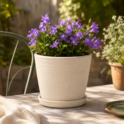 Speckled Ceramic Planter Pot with Matching Saucer – Minimal Indoor & Outdoor Flower Pot for Houseplants, Herbs and Garden Décor